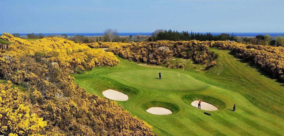 Druids Glen Resort Newtown Mount Kennedy 외부 사진