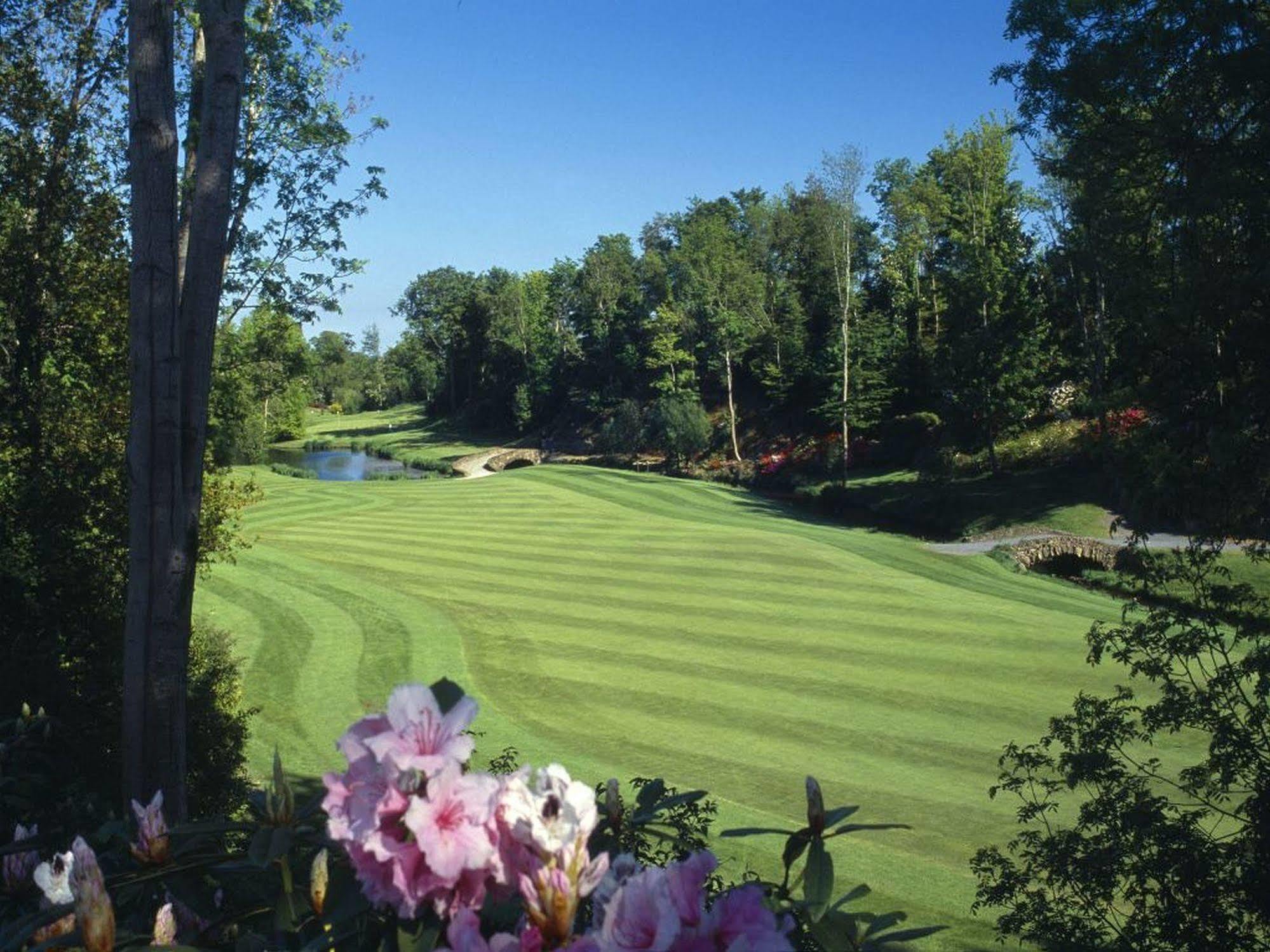Druids Glen Resort Newtown Mount Kennedy 외부 사진